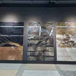 gallery-image (4)